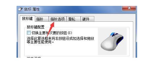 4-“指针选项”