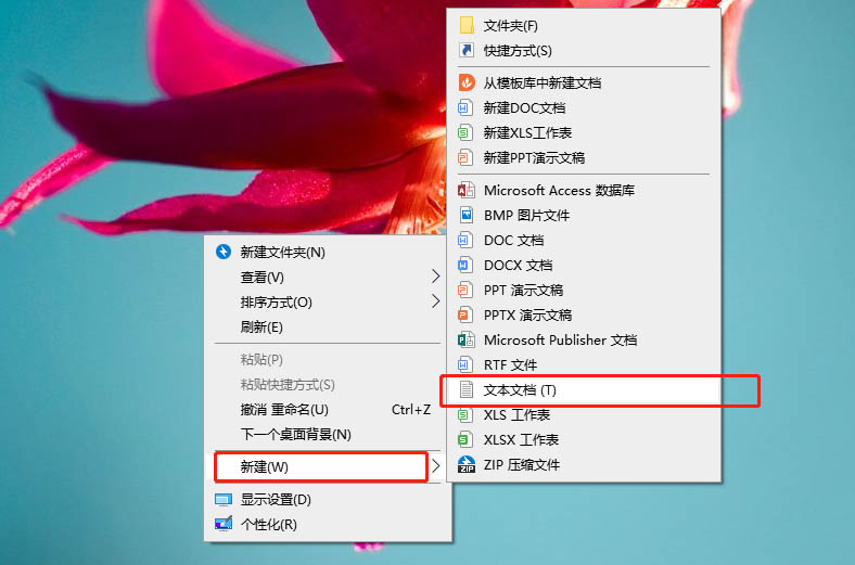 新建一个文本文档