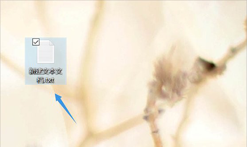 右键“新建”-“文本文档”