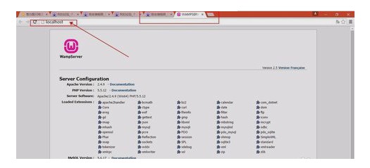 6-在网站里面输入localhost